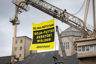 Protest gegen Schiff mit Sojafutter in Brake, Deutschland: Aktivist:innen von Greenpeace protestierengegen den Import von Soja aus zerstörten Wald- und Savannengebieten. 