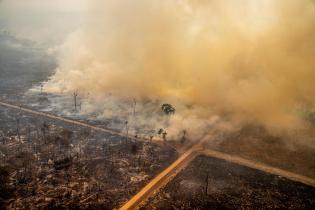 Einen Monat nach einem Präsidialerlass, der Feuer im Amazonas- und Pantanalgebiet verbietet, überfliegt Greenpeace die Bundesstaaten Amazonas und Rondônia, um zu überprüfen, wie wirksam die Maßnahme ist. Trotz des Feuermoratoriums sind mehrere Brandherde zu sehen. Greenpeace Brasilien fliegt jedes Jahr über den Amazonas, um die zunehmende Abholzung und die Waldbrände zu überwachen.