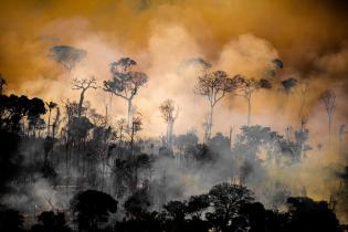 Waldbrand im Amazonas Regenwald
