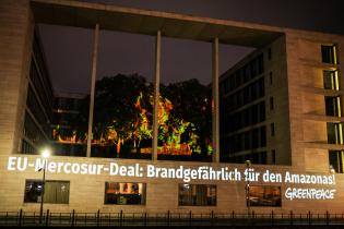 Projection for Forest Protection at the Foreign Office in Berlin