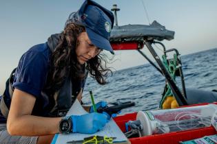 eDNA Research In The Pacific Ocean