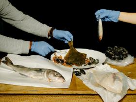 Photo Still Life of Seafood
