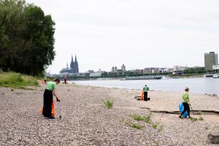 Clean Up Day in Cologne