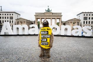 "Amazonia" Travelling Letters in Berlin