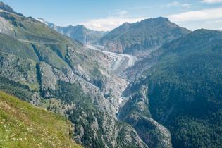 Glacier Comparison Aletsch Glacier in Switzerland