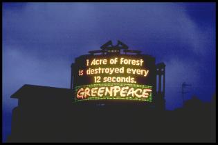 In London protestiert Greenpeace 1994 mit einer elektronische Plakatwand am Piccadilly Circus. Auch hier wird auf den kanadischen Kahlschlag im Great Bear Rainforest aufmerksam gemacht. 