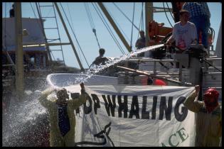 Aktion Blockade von Walfänger in Norwegen
