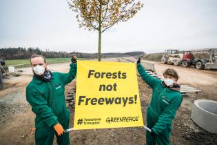 Zwei Greenpeace-Aktive halten Banner "Forests not Freeways" vor einer an das Ausbauende der umstrittenen A49 gepflanzten Eiche  