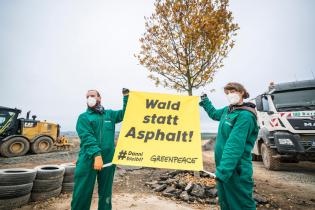 Greenpeace-Aktivist:innen pflanzen eine etwa acht Meter hohe Stieleiche am Ende der umstrittenen Autobahn A49 in Hessen. Mit dem Slogan "Wald statt Autobahnen" demonstrieren sie für eine neue Verkehrsplanung, die weder die Natur zerstört noch die Klimakrise befeuert. 