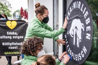 Greenpeace Aktive protestieren vor Edeka-Filiale für mehr Tier- und Klimaschutz in Hannover.