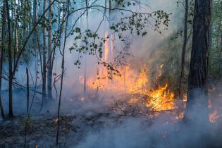 Siberian Forest Fires: Yakutia 2021