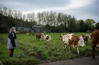 Organic Cattle Farm in Bavaria