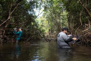 “Amazon We Need” Expedition in the Amazon in Brazil - Ichthyofauna Researchers