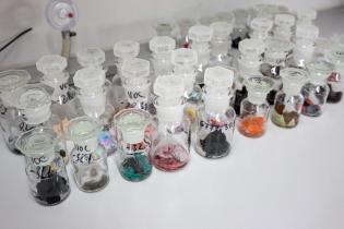 Mit Proben gefüllte Behälter im Labor