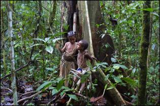 Papua-Neuguina: Kinder lehnen an einem Baumstamm