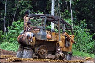 Papua-Neuguinea: Indigene auf Bulldozer