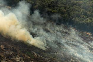 Waldbrand im Amazonas 2020