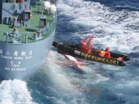 Japanische Walfänger verfehlen knapp Greenpeace-Schauchboot