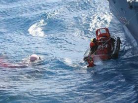Japanische Walfänger verfehlen knapp Greenpeace-Schauchboot