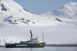 Greenpeace-Schiff Arctic Sunrise in der Antarktis