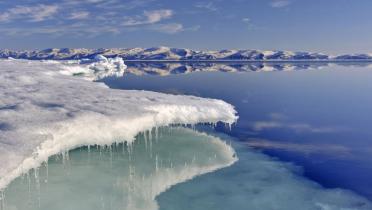 Eine stimmungsvolle Aufnahme in der Arktis - aber sie zeigt auch den Rückgang des Eises