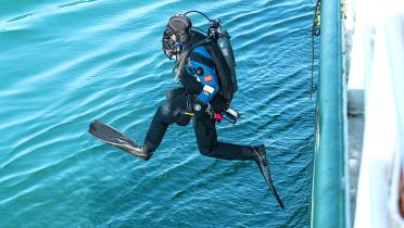 Taucher springt ins Wasser