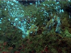 Sprudelnde Unterwasserberge