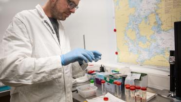 Im Labor untersucht ein Greenpeace-Mitarbeiter die Ostseewasser-Proben auf Problemstoffe wie Nitrat und Phosphor.