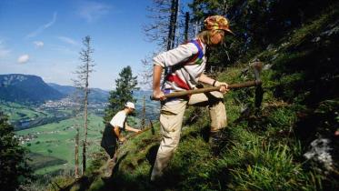 Ehrenamtliche bei der Arbeit für das Bergwaldprojekt. August 2002