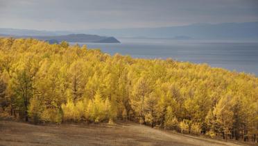 Eine herbstliche Momentaufnahme der Waldlandschaft um den Baikal