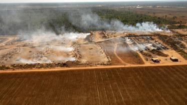 Regenwald Zerstörung durch Soja-Anbau im Bundesstaat Mato Grosso 2006/06/29