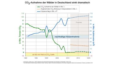 Grafik: CO2-Aufnahme der Wälder in Deutschland sinkt dramatisch