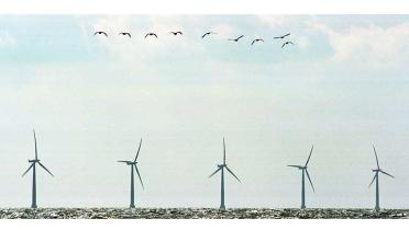 Offshorewindkraftanlage/Windräder vor der dänischen Küste, Mai 2003
