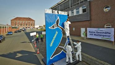 Greenpeace-Aktivisten protestieren bei "Deutsche See" in Bremerhaven