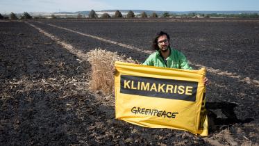Greenpeace-Aktivist mit Banner "Klimakrise" auf einem abgebrannten Feld in Sachsen-Anhalt