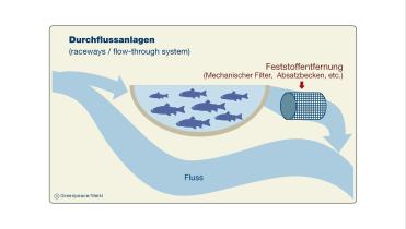 Grafik: Aquakultur mit Durchflussanlagen