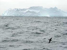 Eisberg im Südpolarmeer