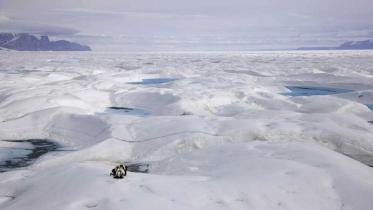 Die Arktis Expedition der Arctic Sunrise im Juni 2009