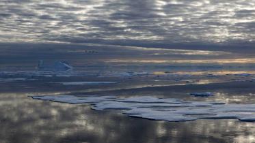 Eisschollen vor Grönland, die Arktis Expedition der Arctic Sunrise im Juli 2009