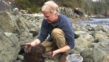 15 Jahre nach dem Unglück untersuchte Dr. Rick Steiner, damals Professor für Meeresbiologie an der Univerisität von Alaska, die Auswirkungen und findet Öl, das sich unter einem Felsbrocken gesammelt hat. An seinen Händen klebt Öl.