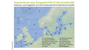 Fanggebietskarte der ICES. 2010