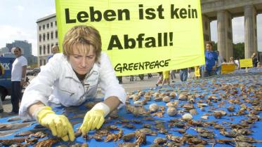Greenpeace präsentiert vor dem Brandenburgertor den Beifang eines Nordseekutters, August 2004