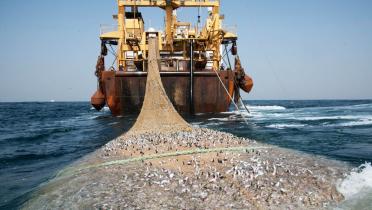 Ausgeworfenes Fischernetz eines Trawlers 