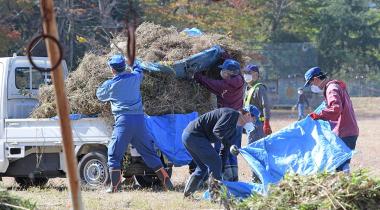Arbeiter in Namie nahe Fukushima laden verstrahlten Grasschnitt auf einen LKW