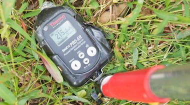 Messgerät von Greenpeace zeigt einen radioaktiven Hotspot von 215 Mikrosievert pro Stunde an.