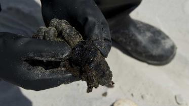 Wissenschaftskoordinator Adam Walters entdeckt Ölklumpen am Strand von Horn Islands, September 2010
