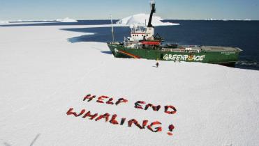 Auf einer Schneefläche der Antarktis formen Greenpeace-Aktivisten mit ihren Körpern den Schriftzug "Help End Whaling!". Im Meer davor liegt das Greenpeace-Schiff "Arctic Sunrise".