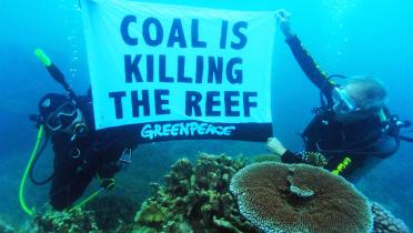 Unterwasser-Protest von Greenpeace-Aktivisten am Great Barrier Reef; Banner mit der Aufschrift "Kohle tötet das Riff"
