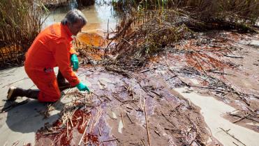 Ölverschmutzung an der Küste des US-Bundesstaats Louisiana