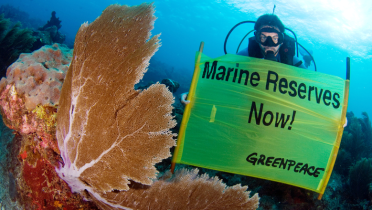 Greenpeace Taucher am Alacranes Riff vor Mexiko mit einem Banner "Meeresschutzgebiete jetzt"
